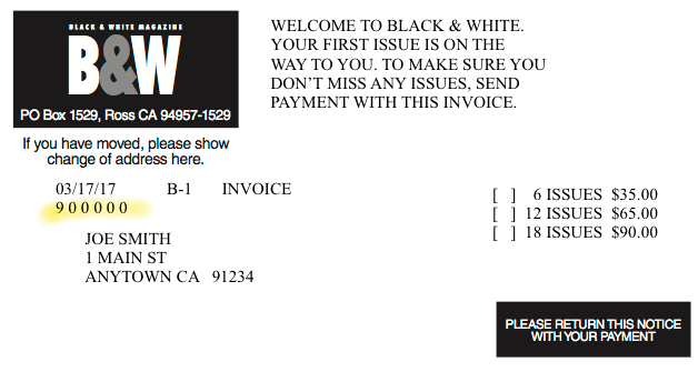 Black & White Invoice Notice Example